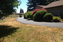 curved_asphalt_driveway