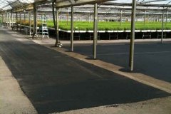 greenhouse_patch_asphalt3