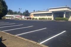 IMG_1470-copy