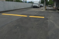 IMG_2502-copy
