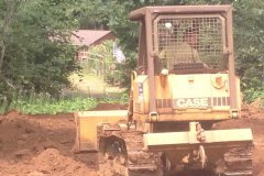 cat_dirt_moving
